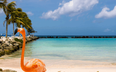 Turismo marzo 2025: Curazao rompe récord y Aruba ajusta rumbo tras caída de febrero